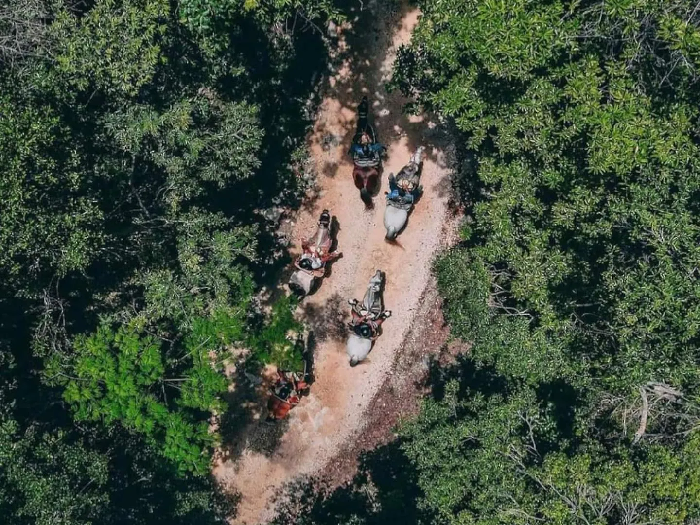 豪华帐篷 Loft Cabins In Cenotes Natural Park 图卢姆